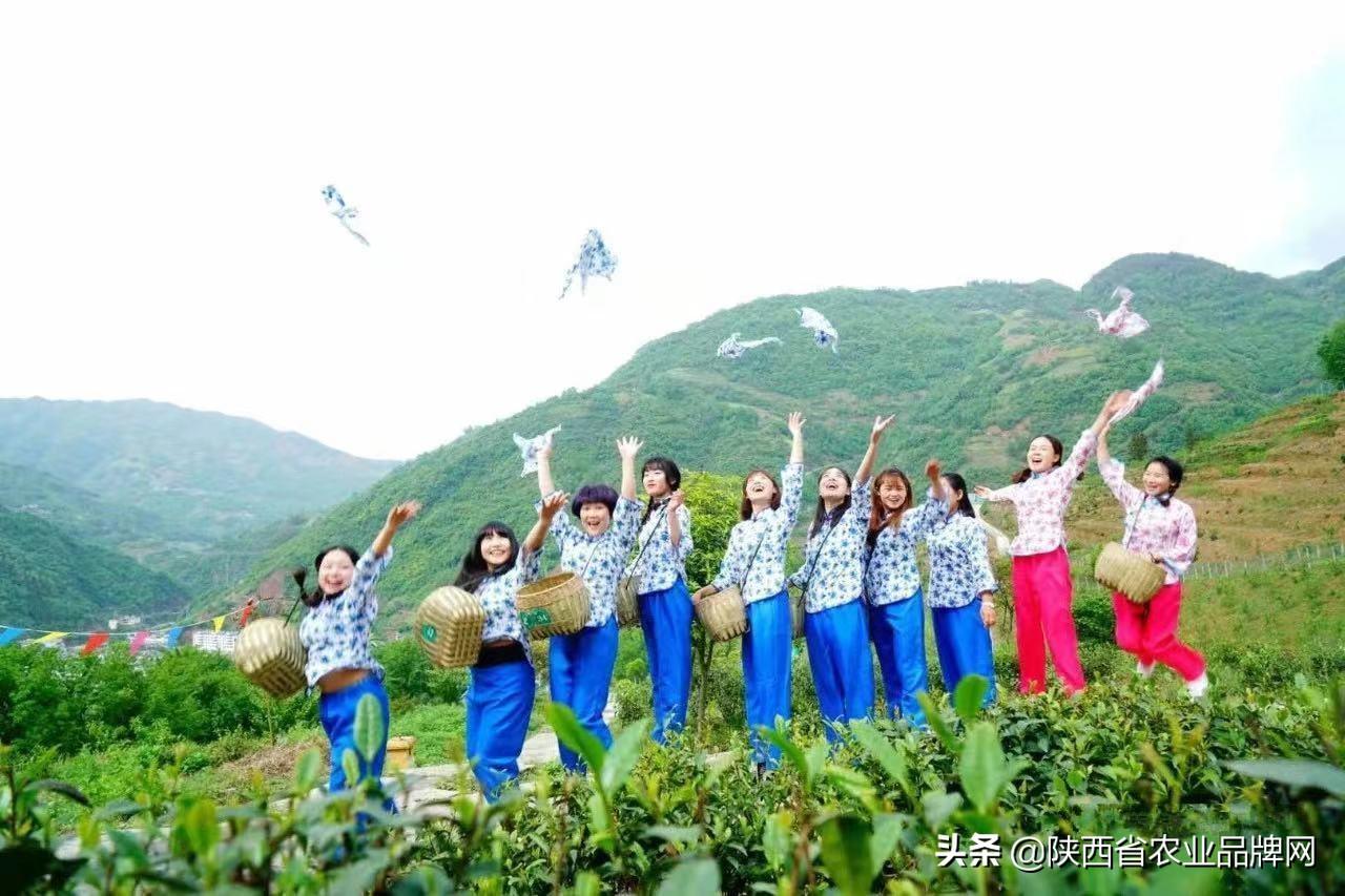 富硒茶伤胃吗