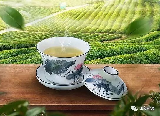 马坡村富硒茶