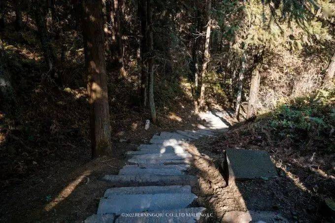 富硒茶仙寓山
