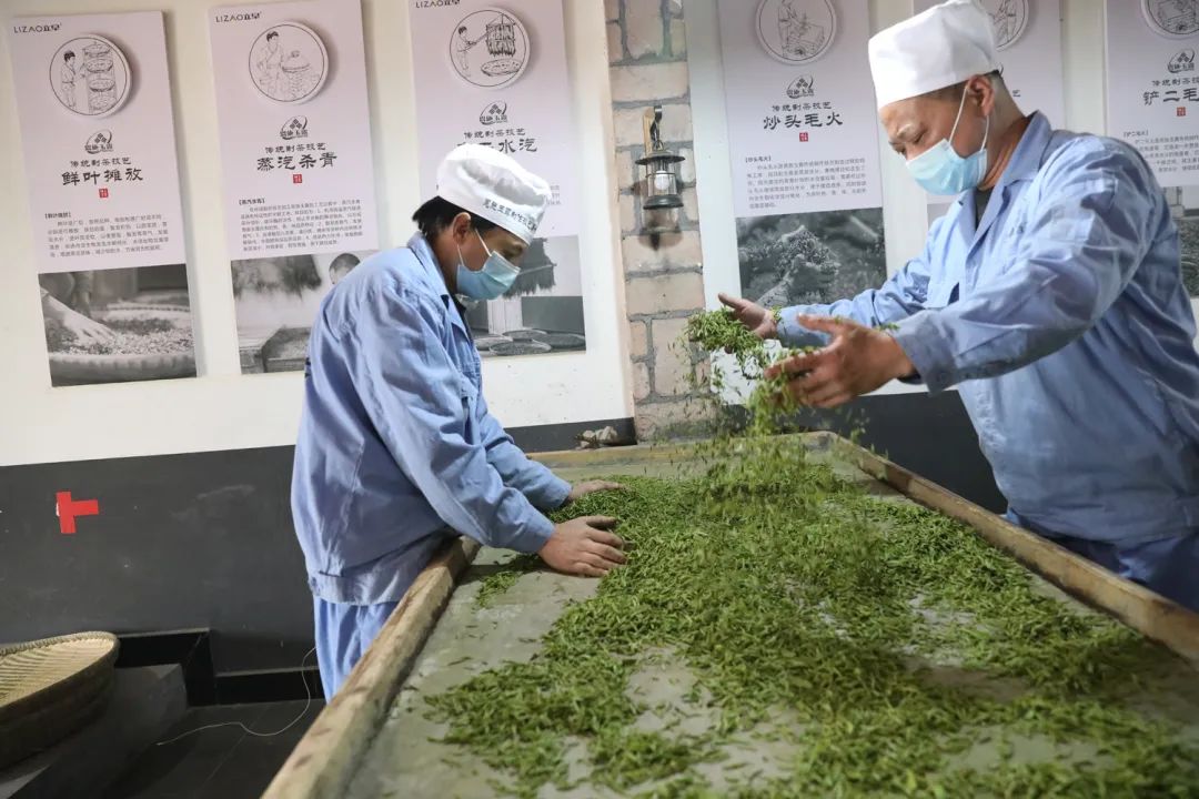 宣恩县富硒茶