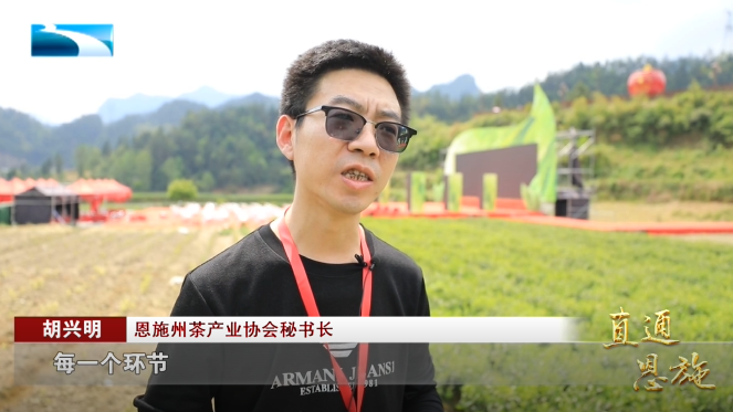 宣恩县富硒茶