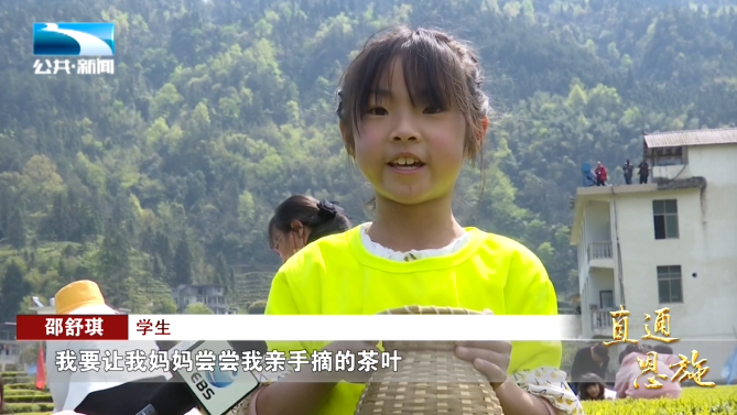 宣恩县富硒茶