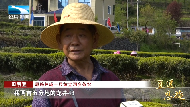 宣恩县富硒茶