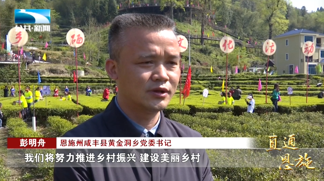宣恩县富硒茶