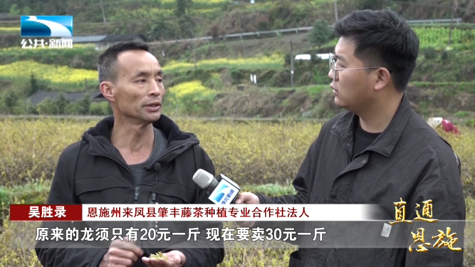 宣恩县富硒茶