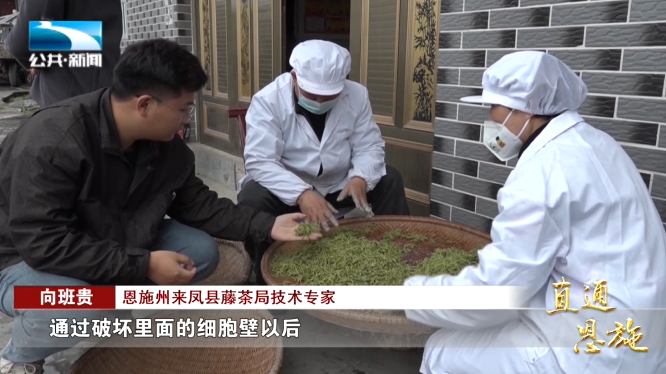 宣恩县富硒茶