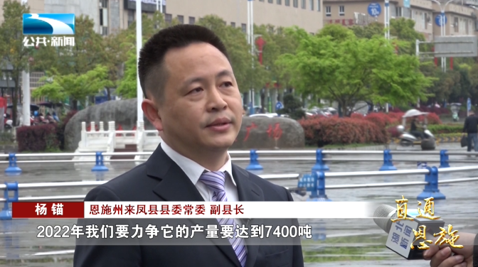 宣恩县富硒茶