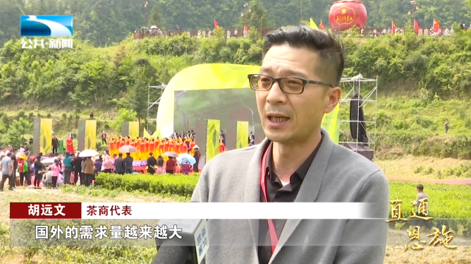 宣恩县富硒茶