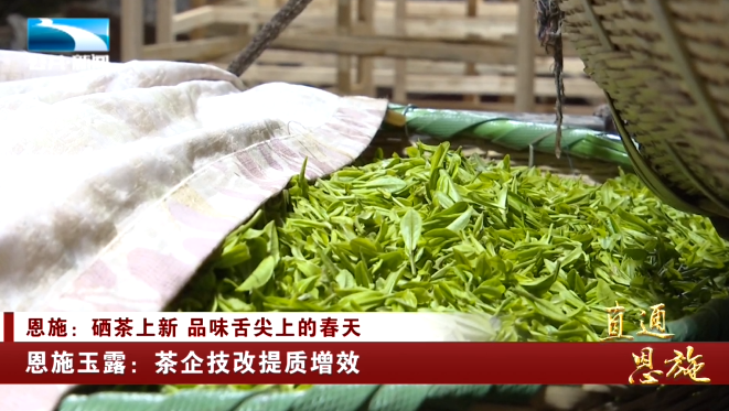 宣恩县富硒茶
