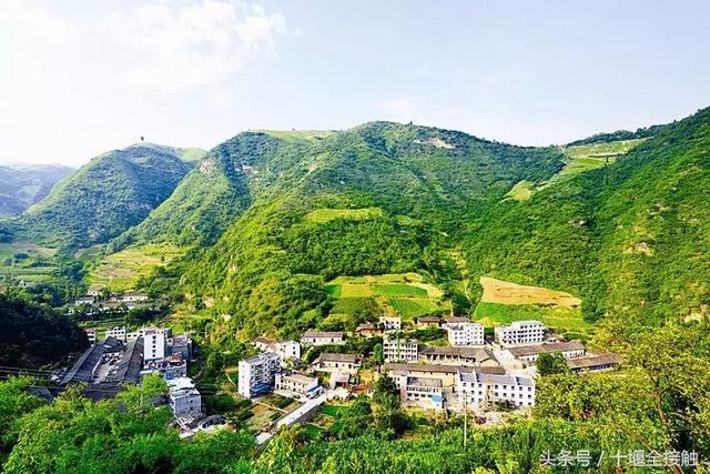 富硒茶南贡河