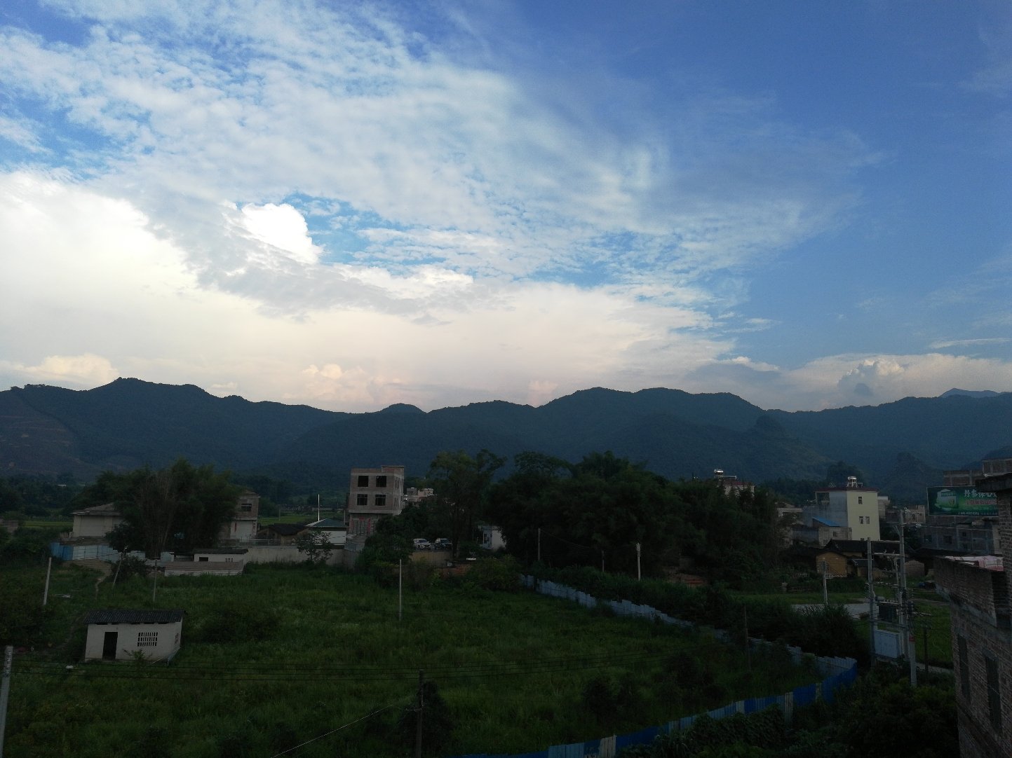 七都镇富硒茶