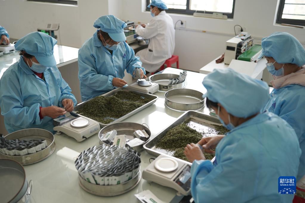 兴业县富硒茶