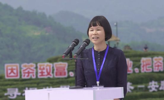 4号线富硒茶