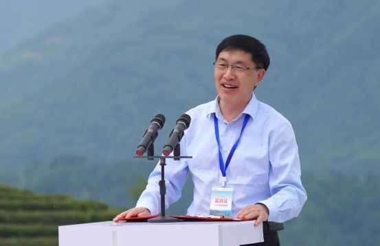 4号线富硒茶