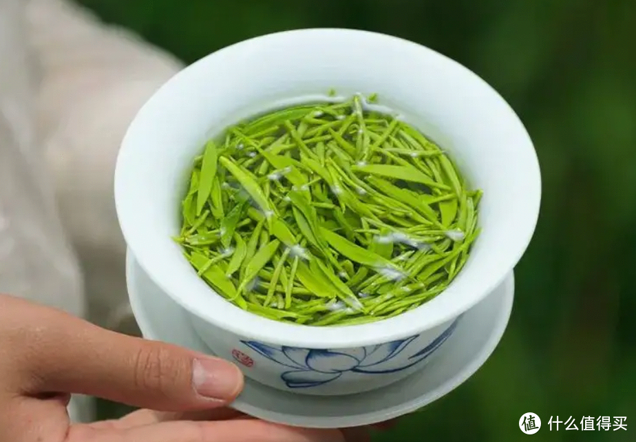 全国哪的茶叶最好喝？经投票，这4地茶名列前茅，有你家乡的吗