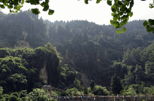 西岭红富硒茶