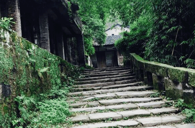 西岭红富硒茶