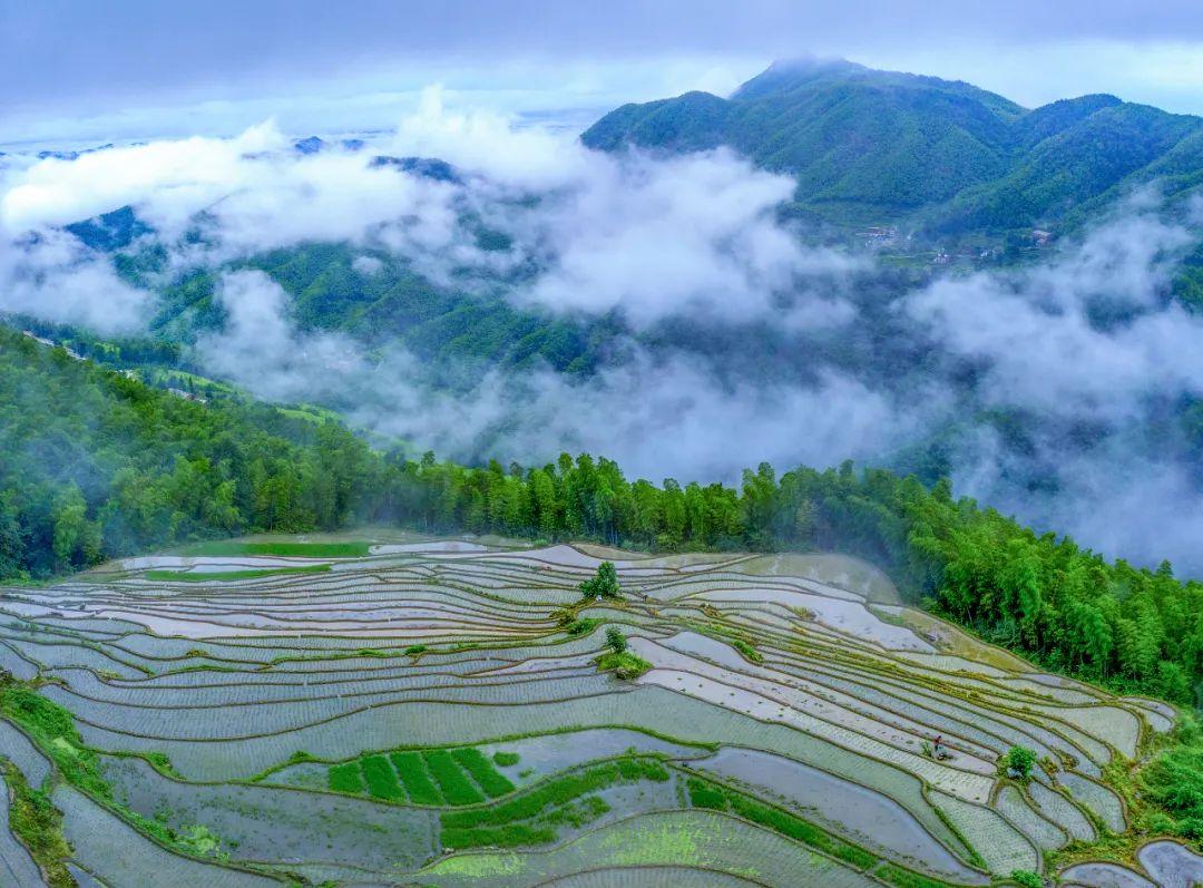 三江茶富硒么