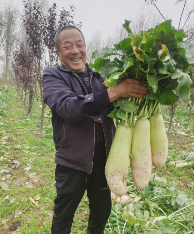 大米姐富硒米
