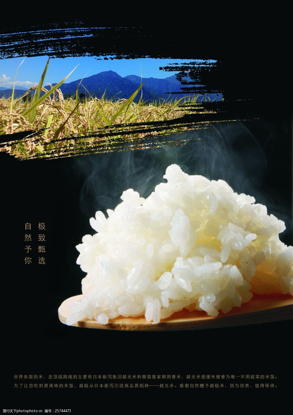 留庄富硒大米