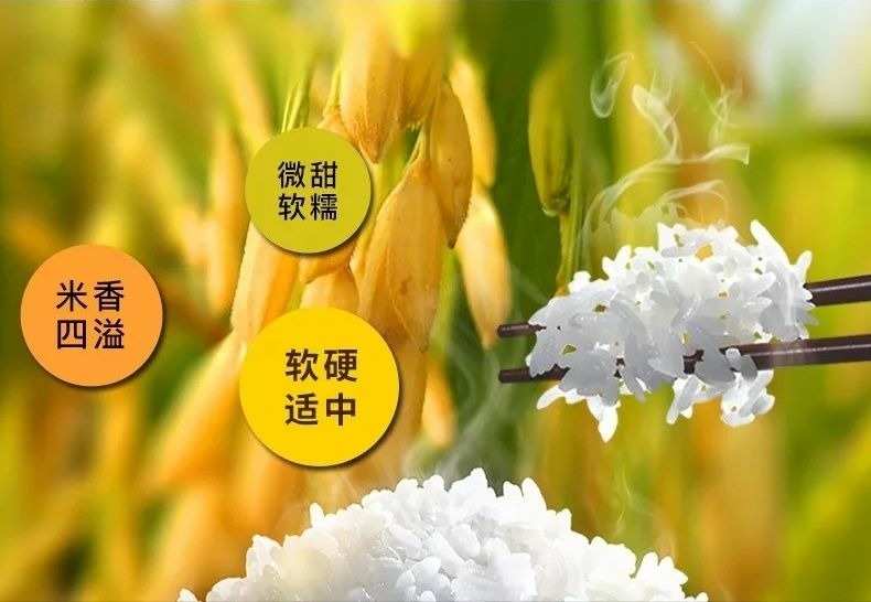 劲标富硒大米