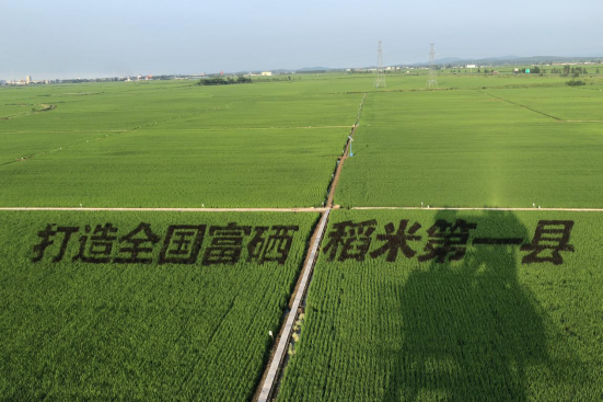 米富富硒大米