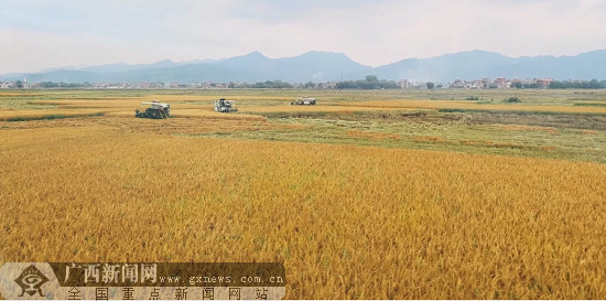 北田富硒大米