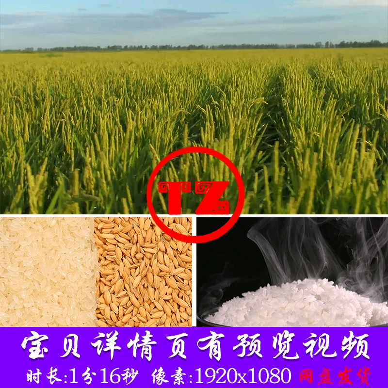 珍珠富硒大米