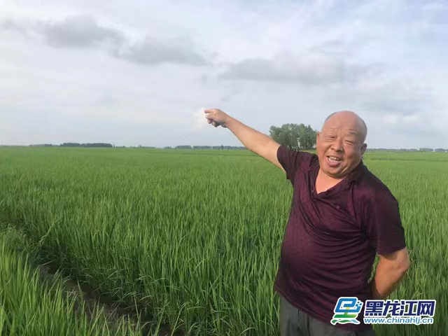 赞美富硒大米