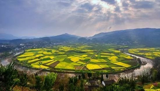 贵阳富硒大米