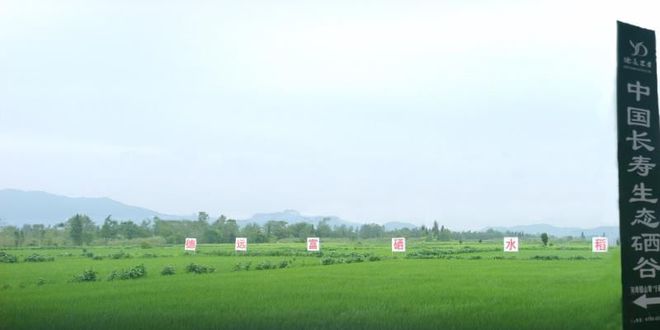 奉新富硒大米