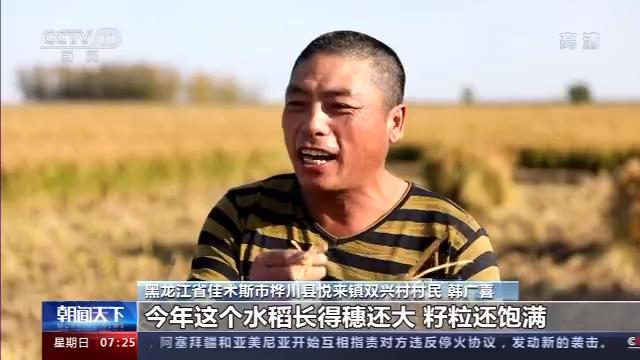 桦川富硒大米