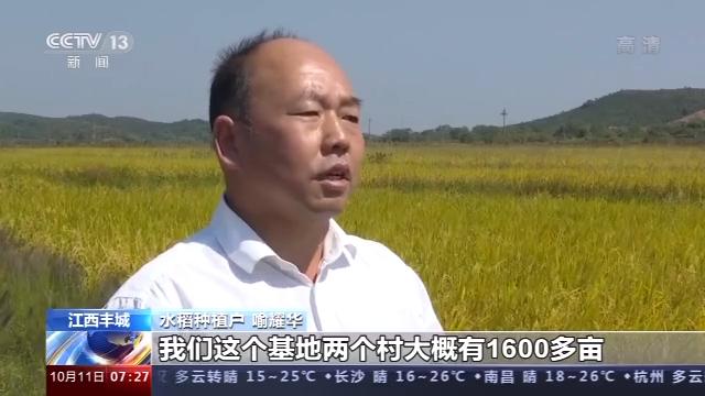 桦川富硒大米