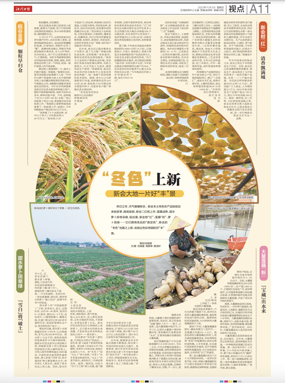 试种富硒大米