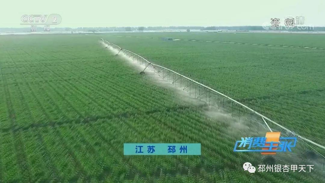 东台富硒大米