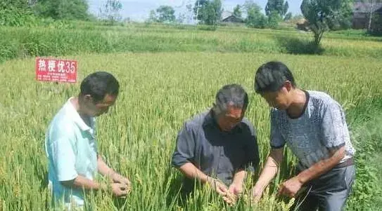 合川富硒大米