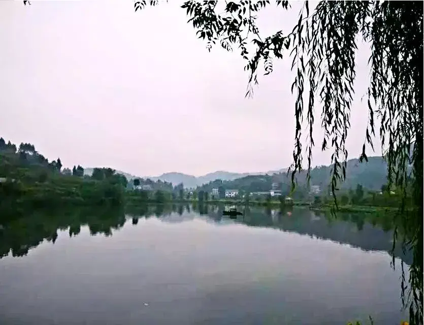 合川富硒大米