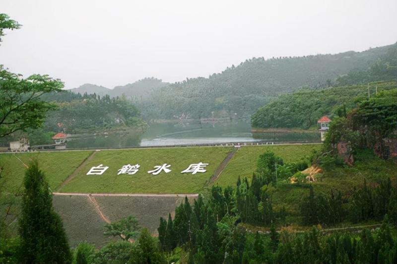 合川富硒大米