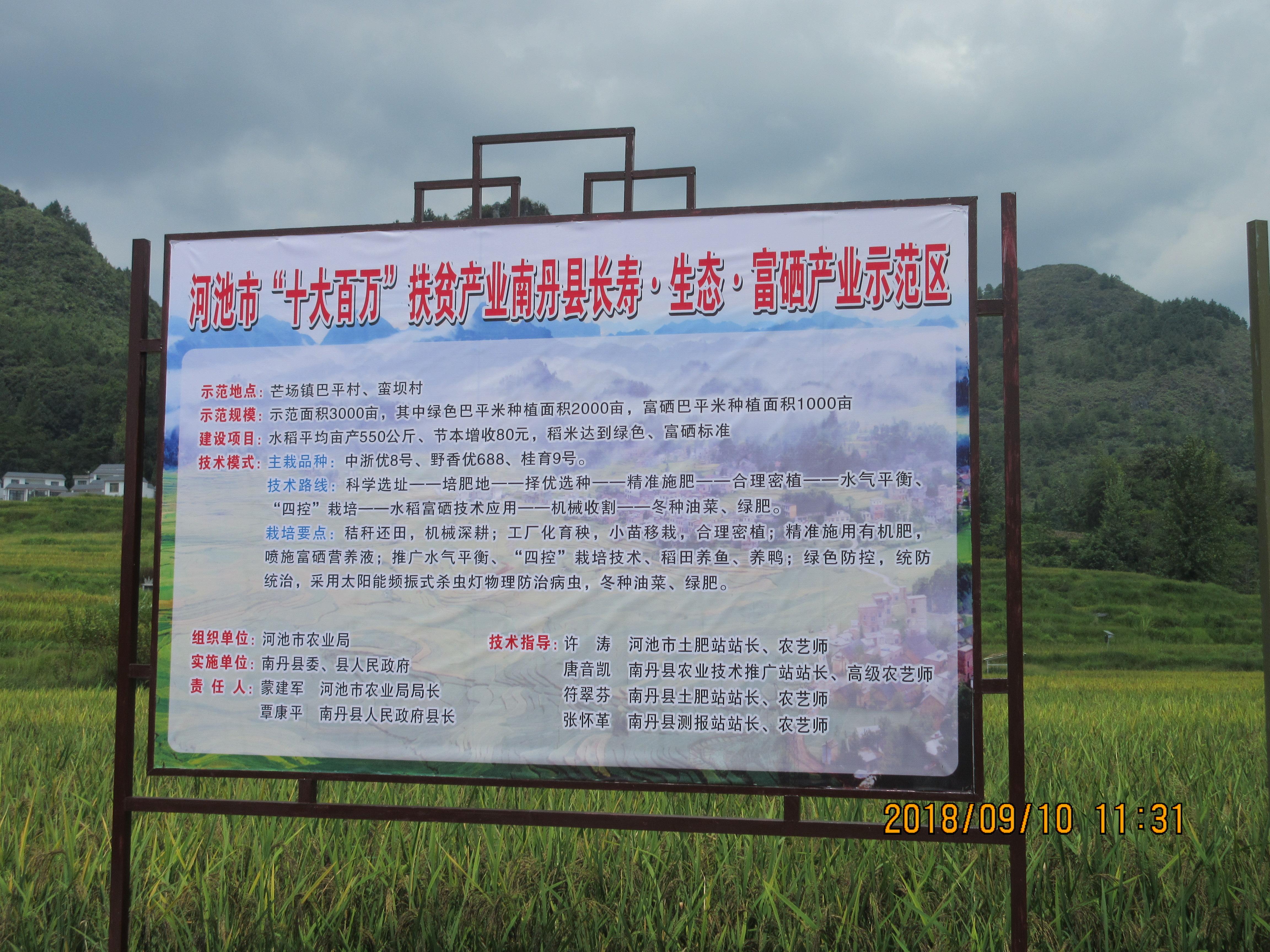 河池富硒大米