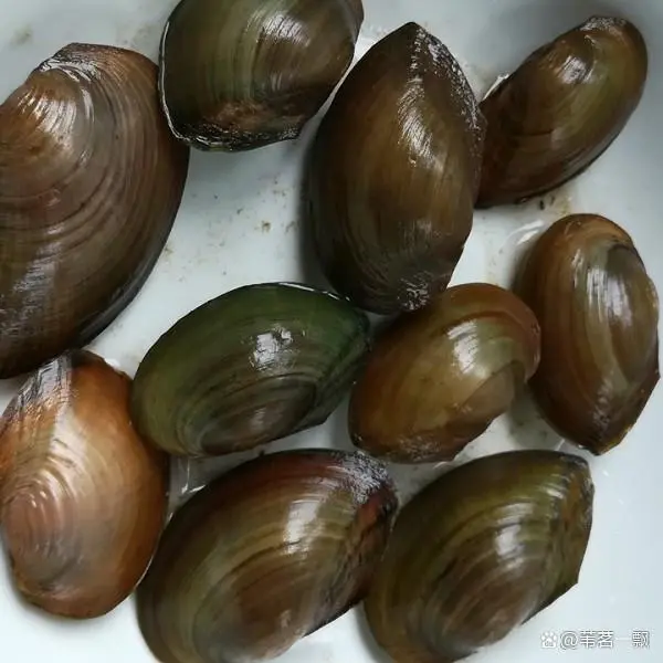 淮安富硒大米