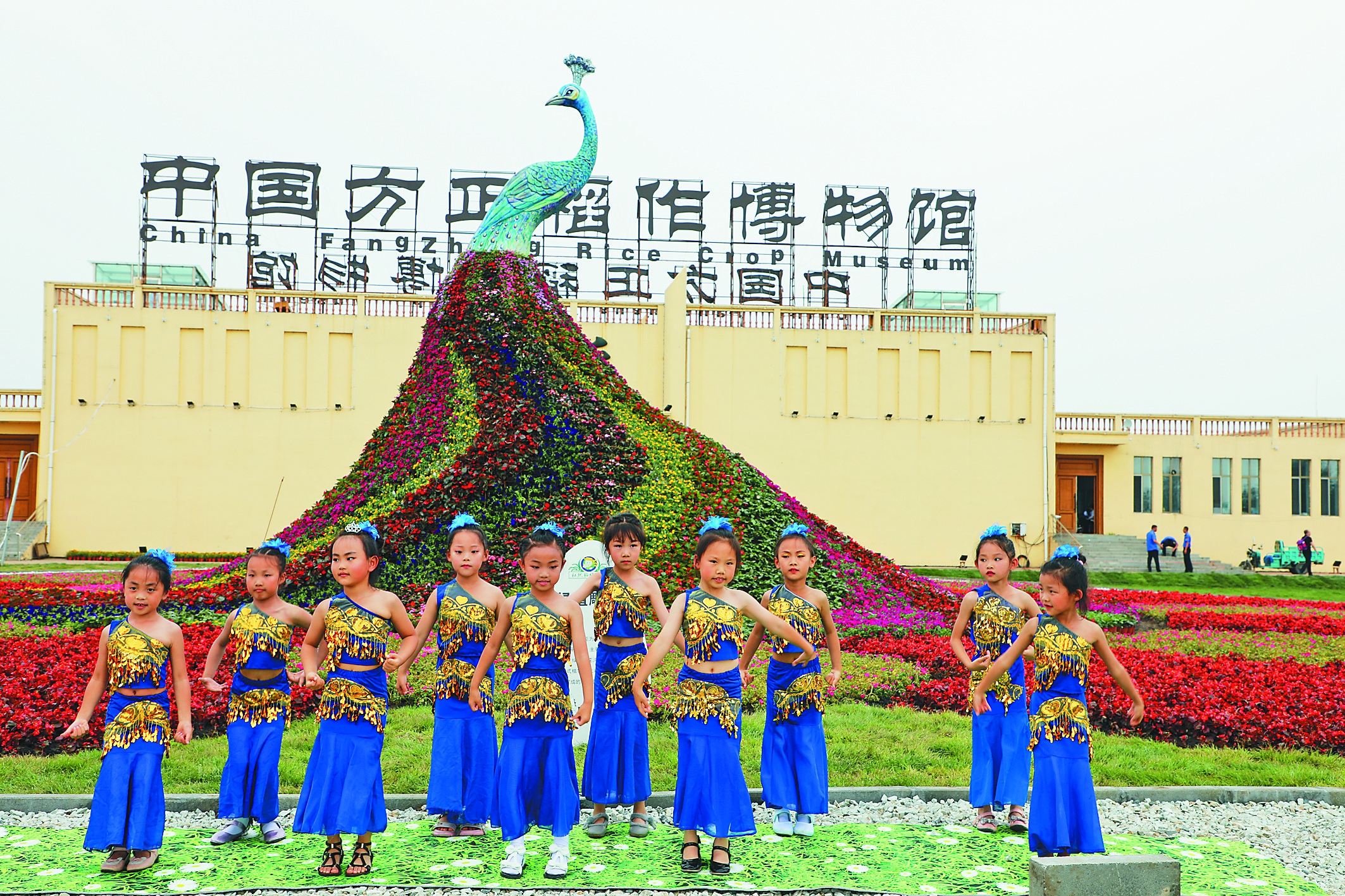富硒大米黑色