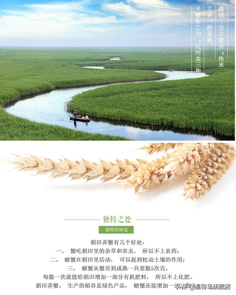 富硒盘锦大米