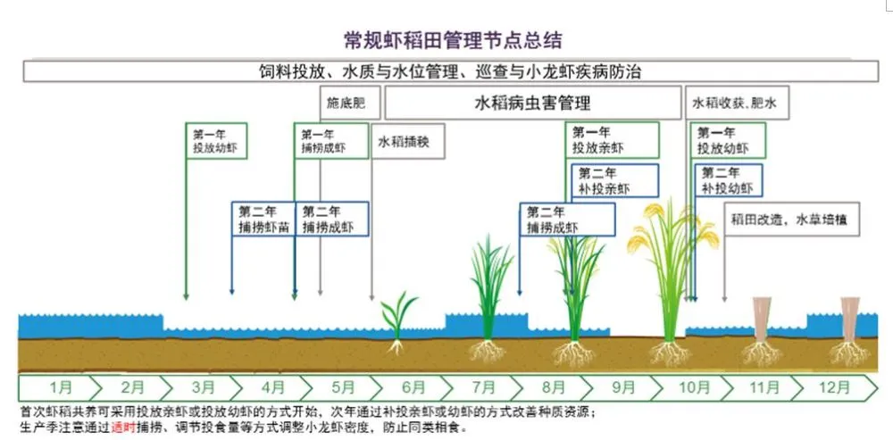 阜康富硒大米