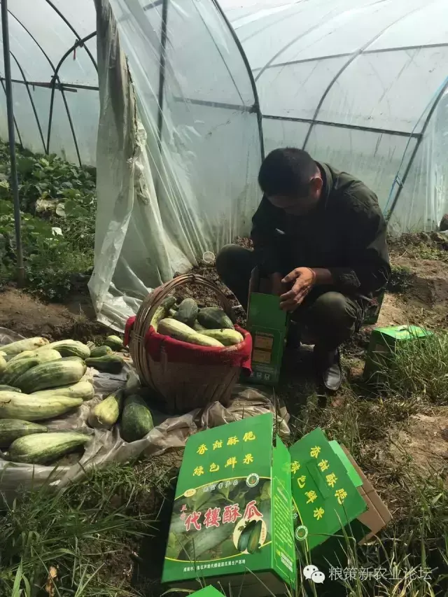 运城富硒大米