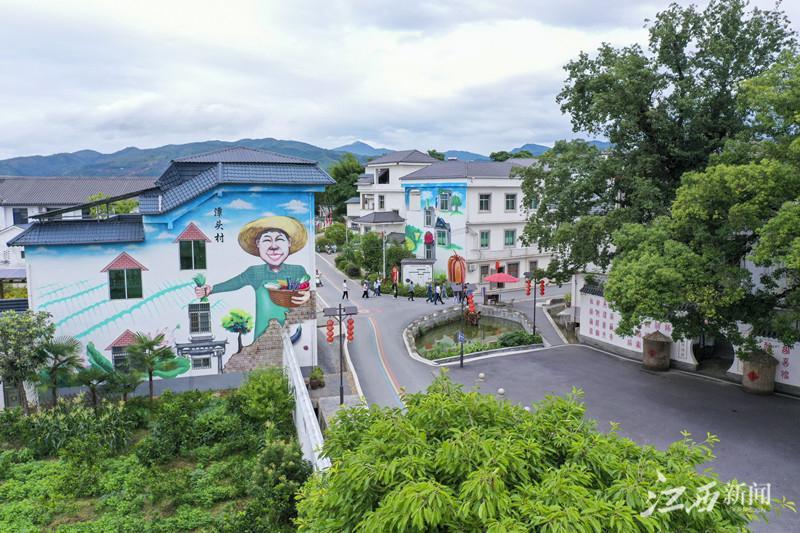 富硒大米江西