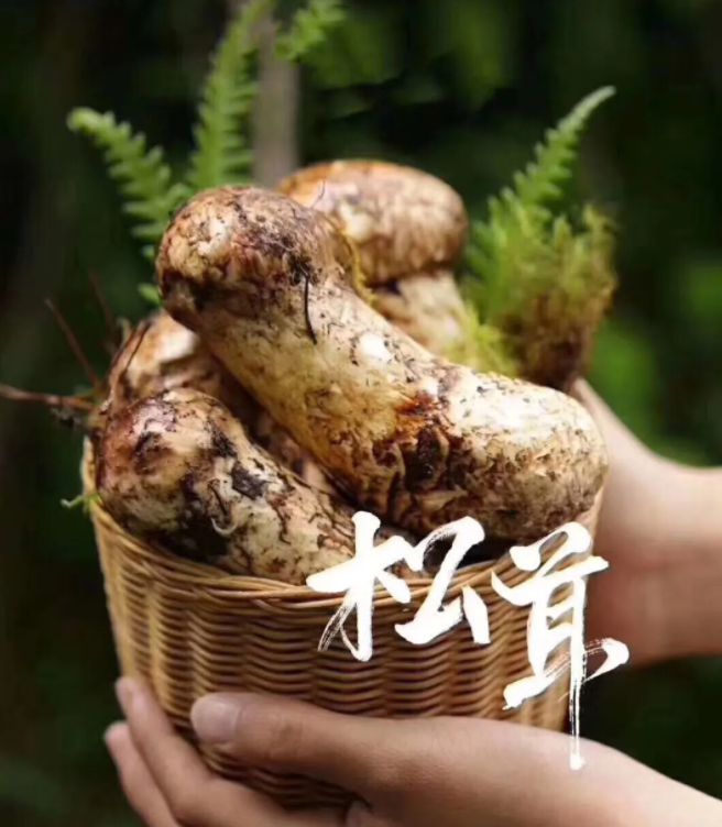 永福富硒大米