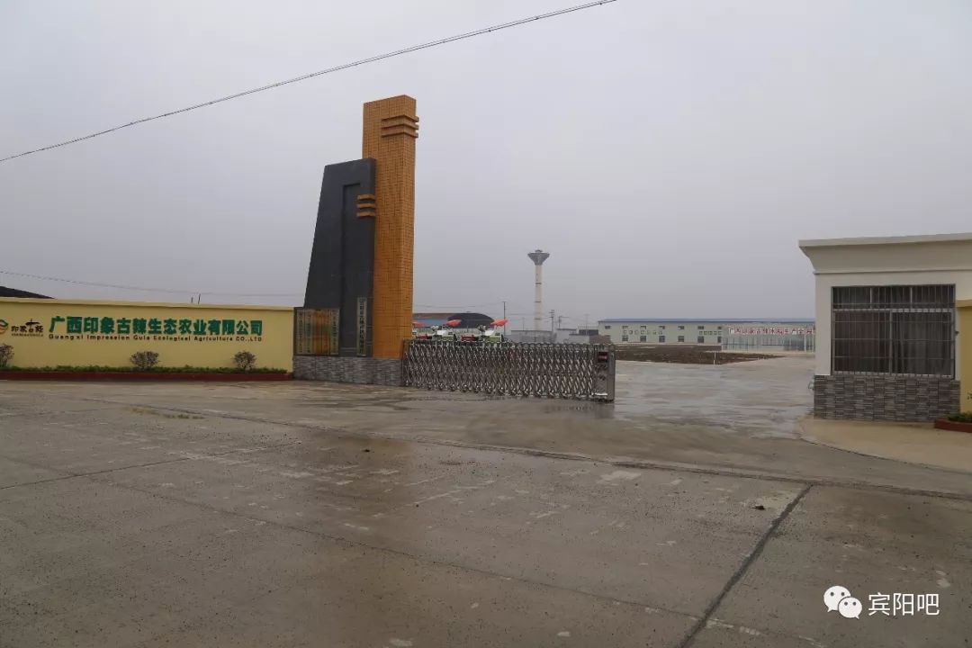 柳州富硒大米