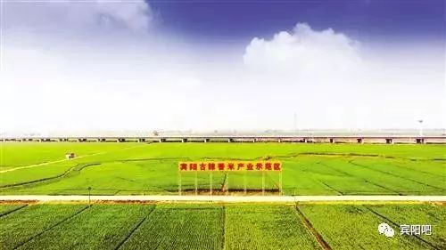 柳州富硒大米