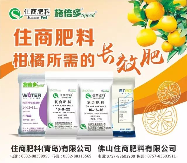 花生富硒大米
