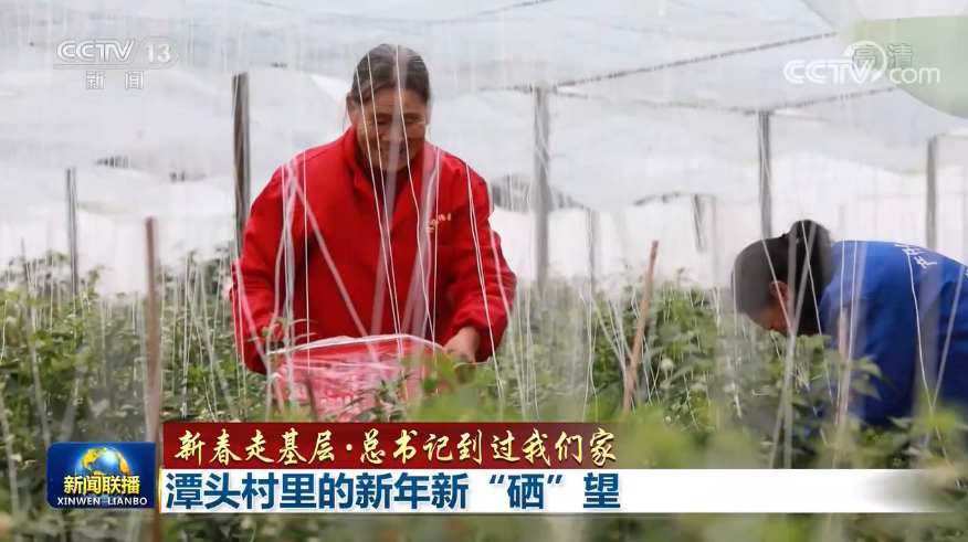 红卫富硒大米